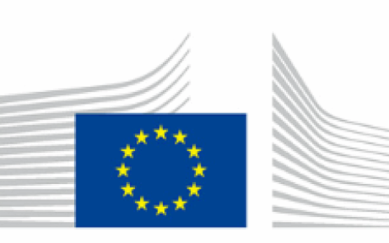 Report on the on the implementation of EU macro-regional strategies by the European Commission
