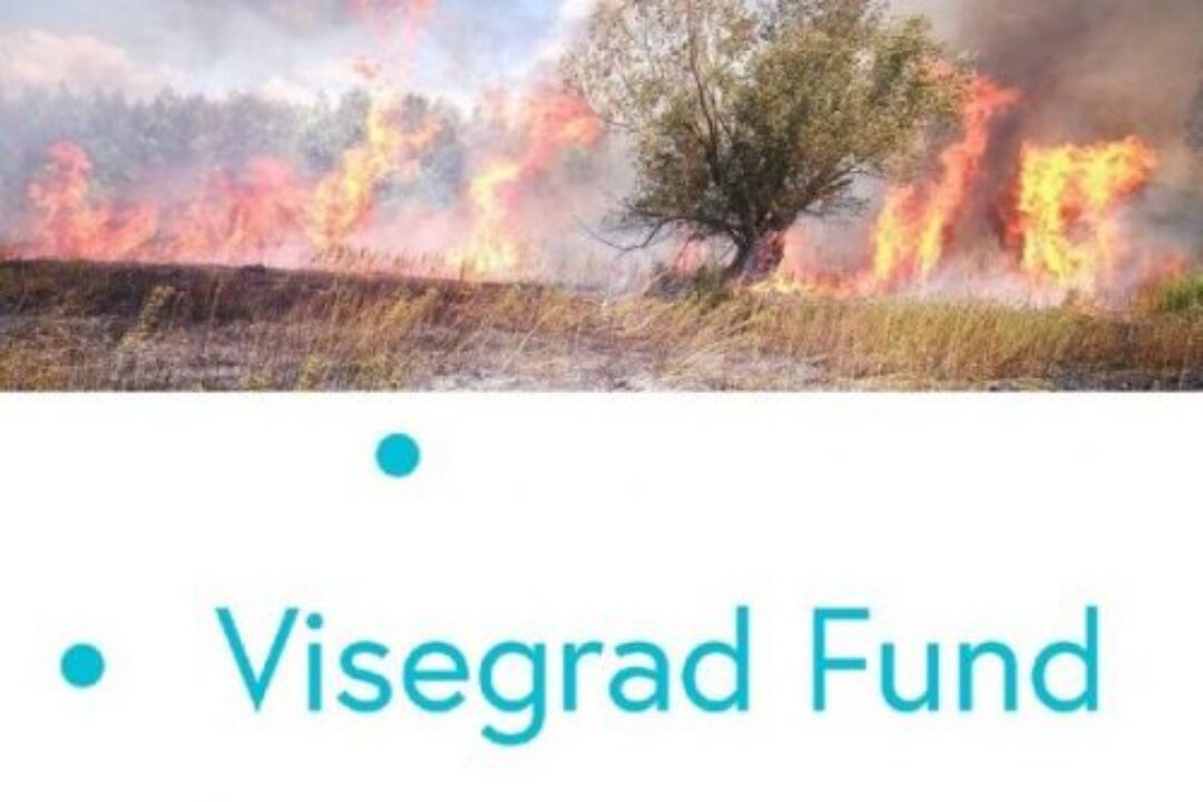 Joint preparedness activities for wildfires in Komarom-Komarno region