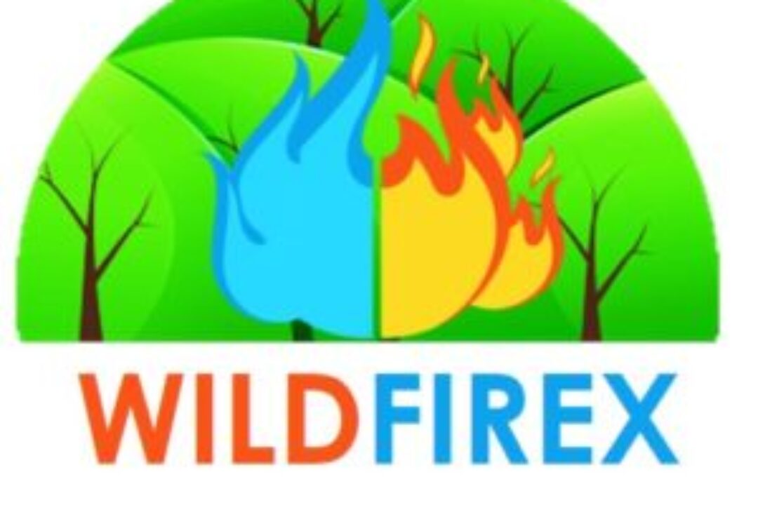 WILDFIREX Coordination training and meeting