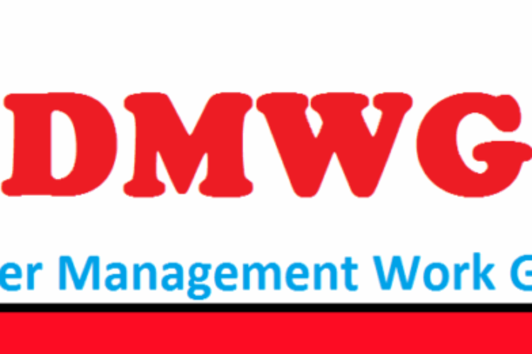 Disaster Management Work Group 1st online meeting