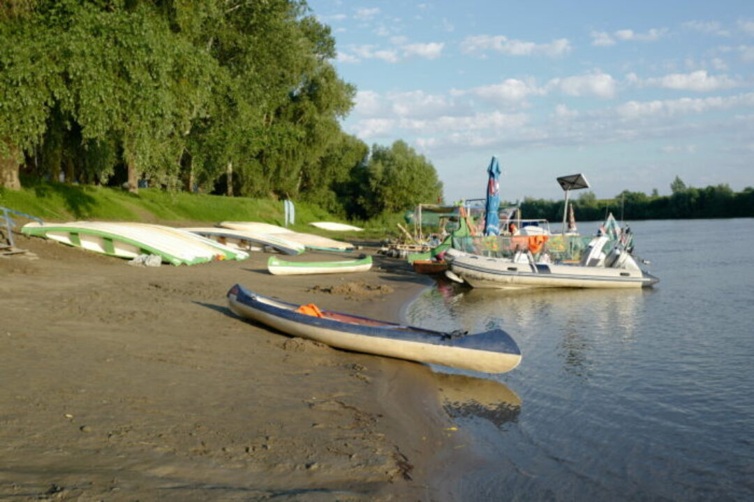 The 8th PLASTIC Cup participants collected 8 tonnes of waste from the Tisza and its floodplains