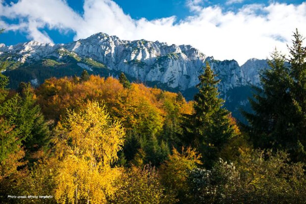 International Mountain Day