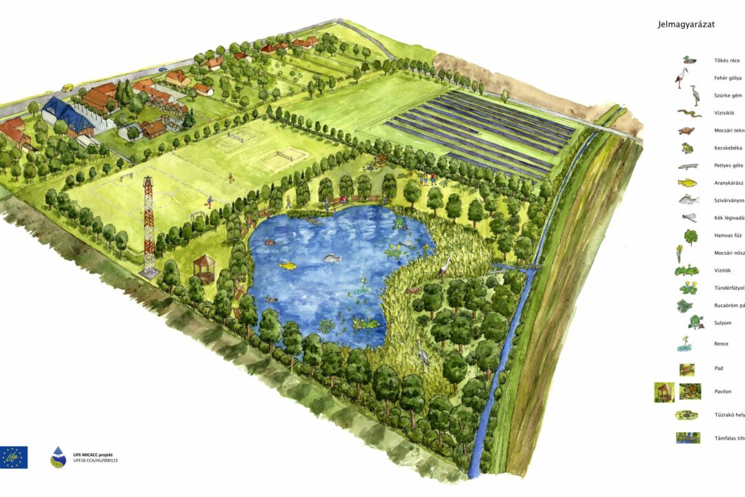 Survey on natural water retention measures