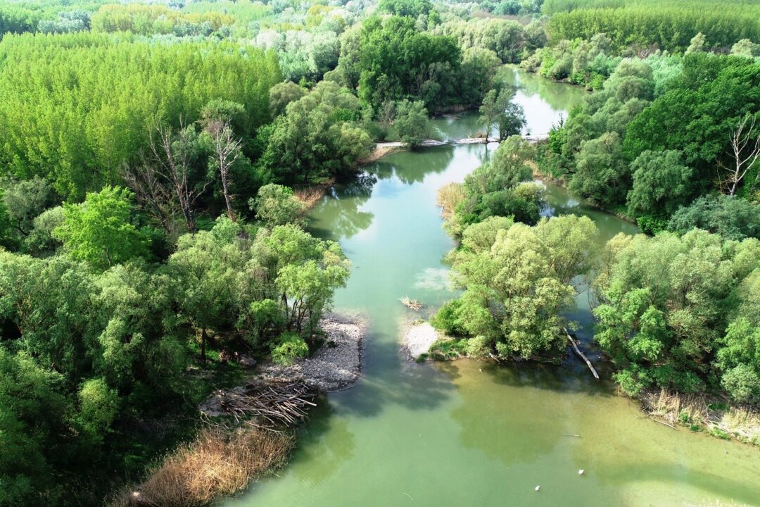 The „Living Danube” Foundation Prize