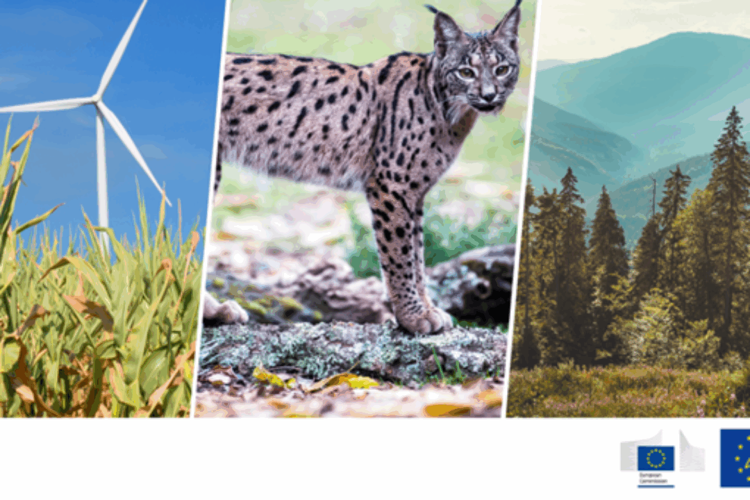 EU to invest €5.4 billion in new LIFE projects