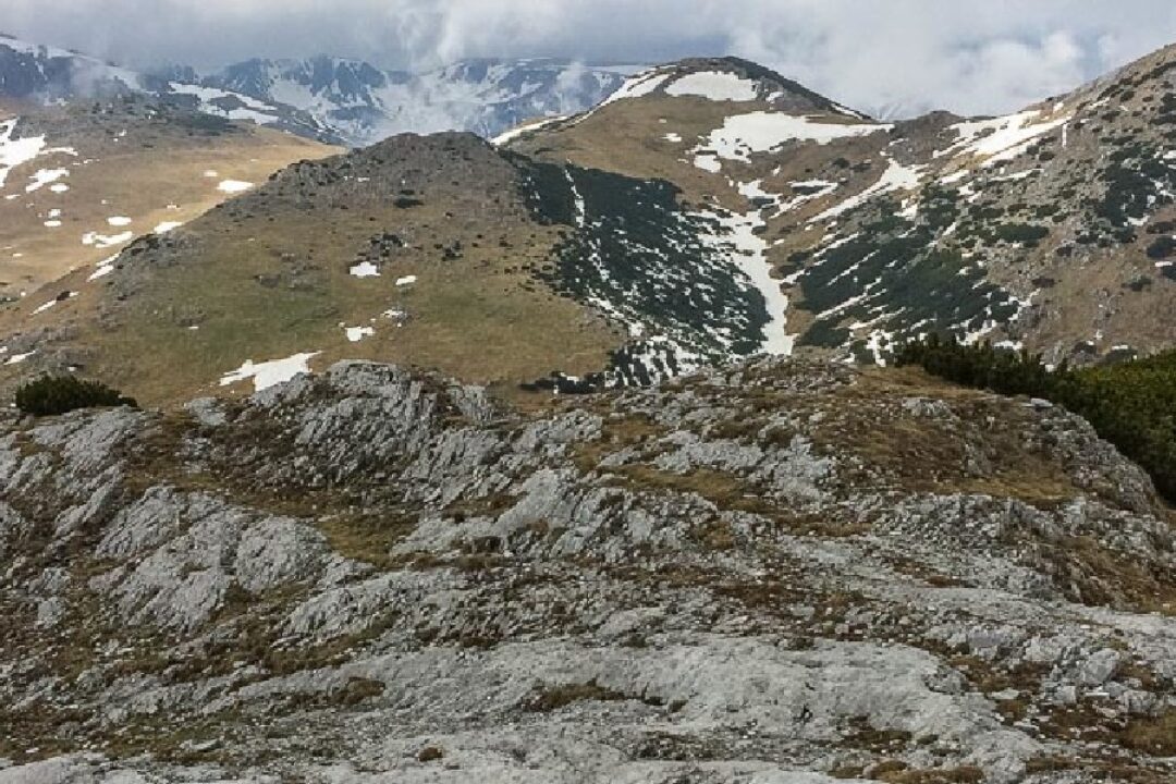 What do you know about the Carpathian region?