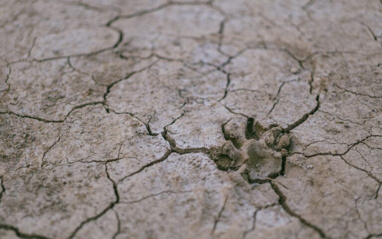 Special Report on Drought 2021