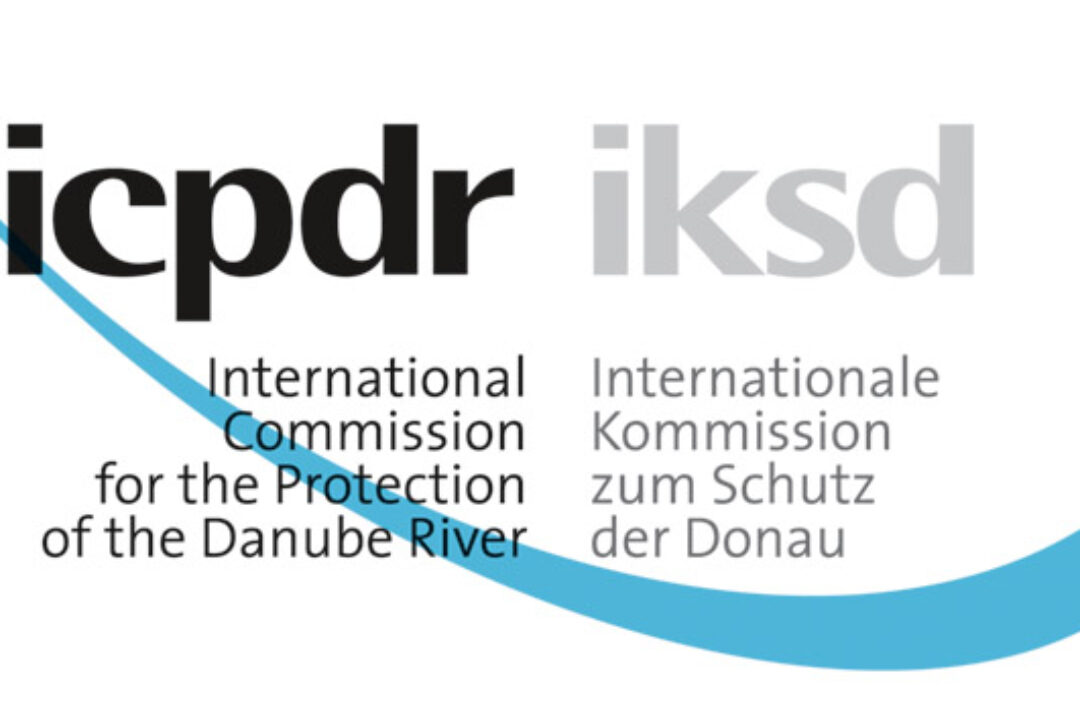 ICPDR Public Consultation Process Results