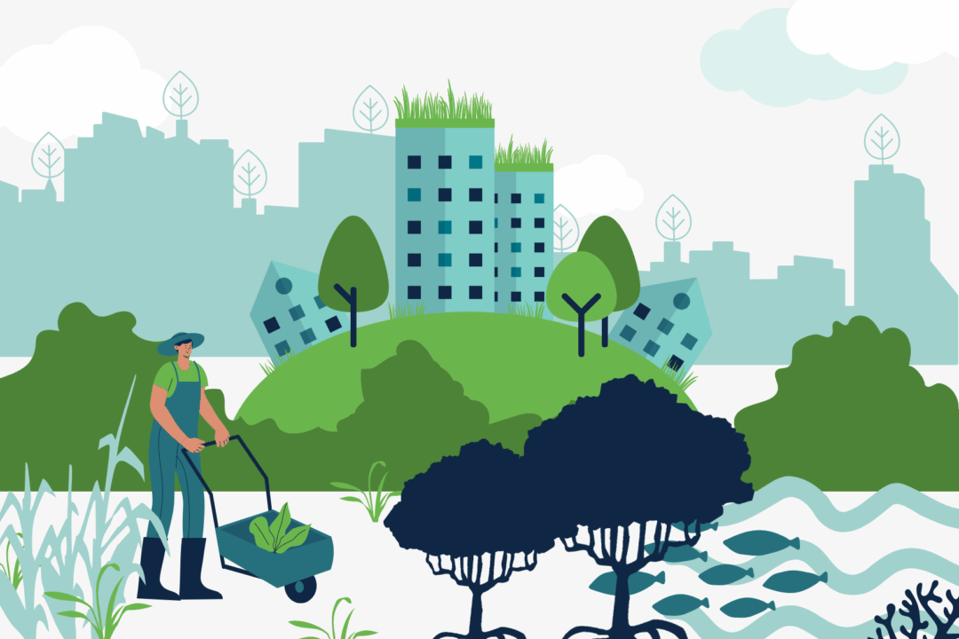 Community of Practice on Nature-based Solutions in Water Resource Management by GWP CEE