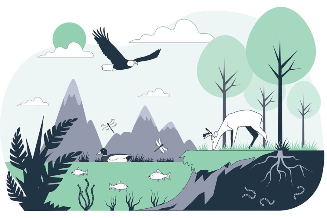 Supporting the advancement of nature-based solutions in water management workshop