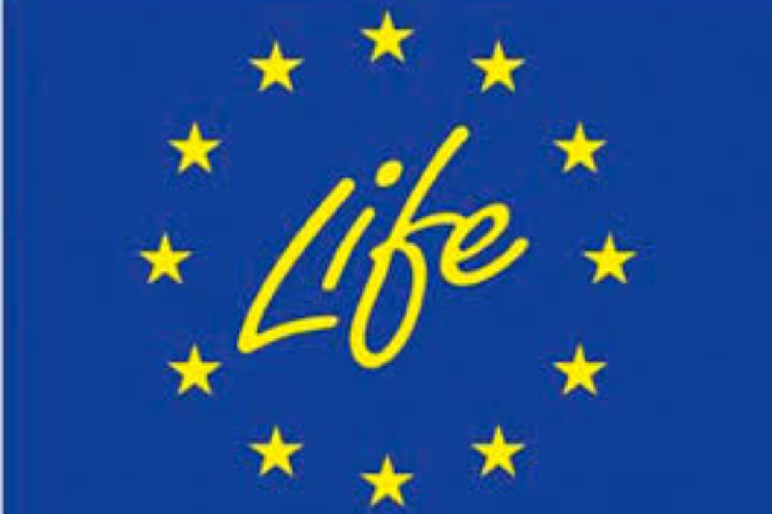 LIFE Calls for Proposals 2024