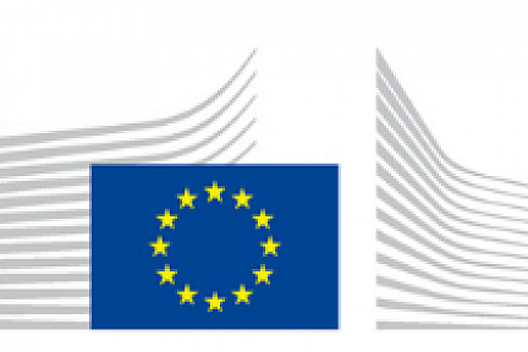 Report on the on the implementation of EU macro-regional strategies by the European Commission